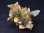 画像1: ガネーシュヒマール・ダーディン産クローライトファントム水晶クラスター 37.0g (1)
