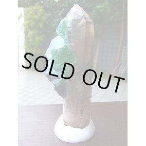 画像: 【クリアランス価格30％OFF 45,000円→31,500円】ナミビア・エロンゴ産フローライト付きスモーキークオーツ原石189.0g