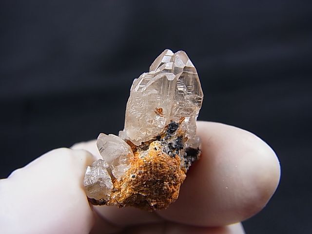 セルサイト/白鉛鉱 (イラン産) [鉱物標本/天然石]