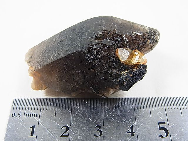 画像: ベトナム・タインホア産イエローベリル付きスモーキー水晶 30.0g