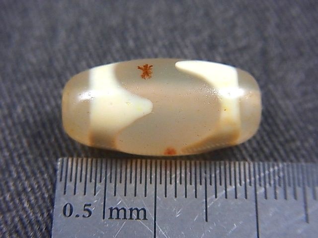 画像: 「虎牙」（赤朱砂入り）現代天珠 直径約10×20mm