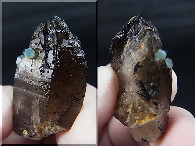 画像: ベトナム・タインホア産アクアマリン柱状結晶付きスモーキー水晶（ブラックトルマリン付き） 12.4g